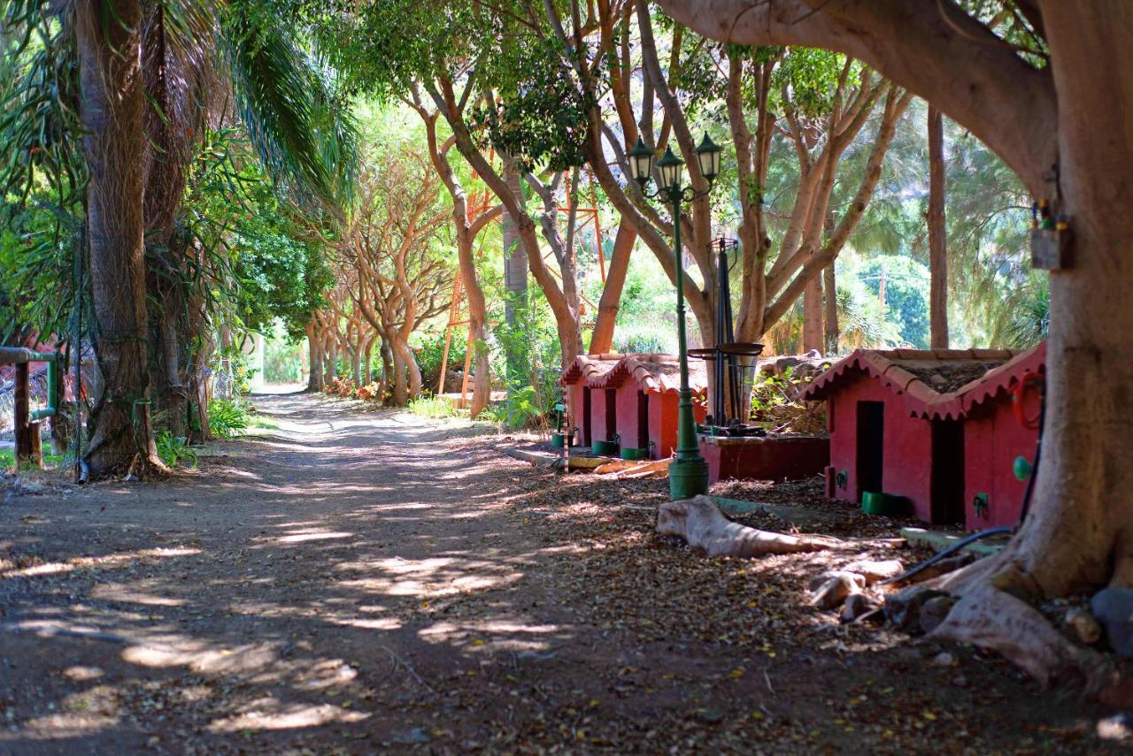 La Casa Del Molino De Viento Villa Agaete  Kültér fotó